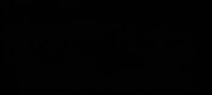 SnixZ animated logo